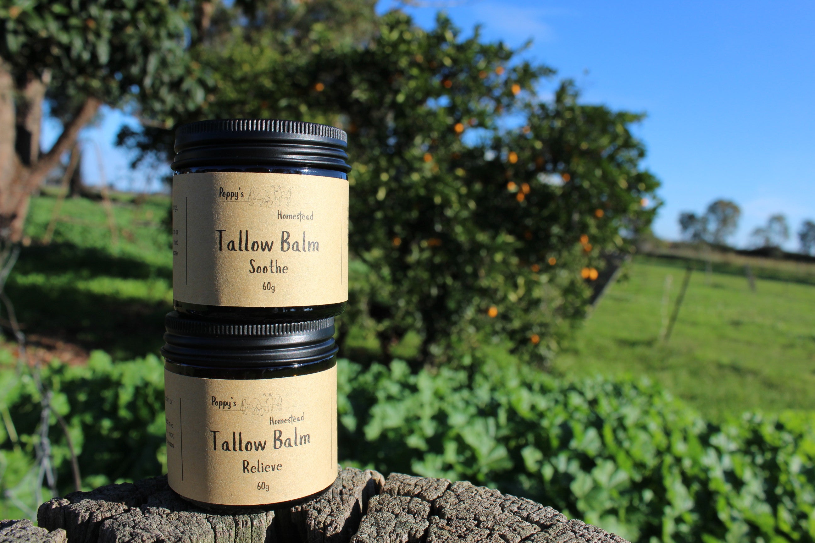 Tallow Balm - Relieve