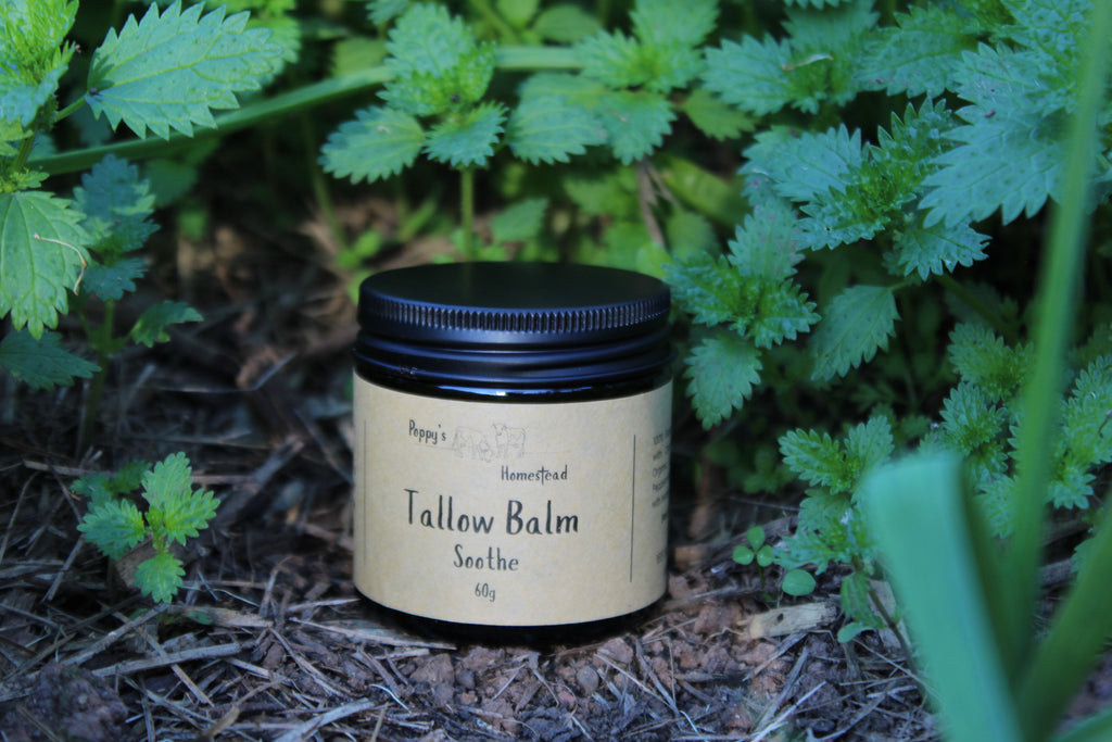 Tallow Balm - Soothe