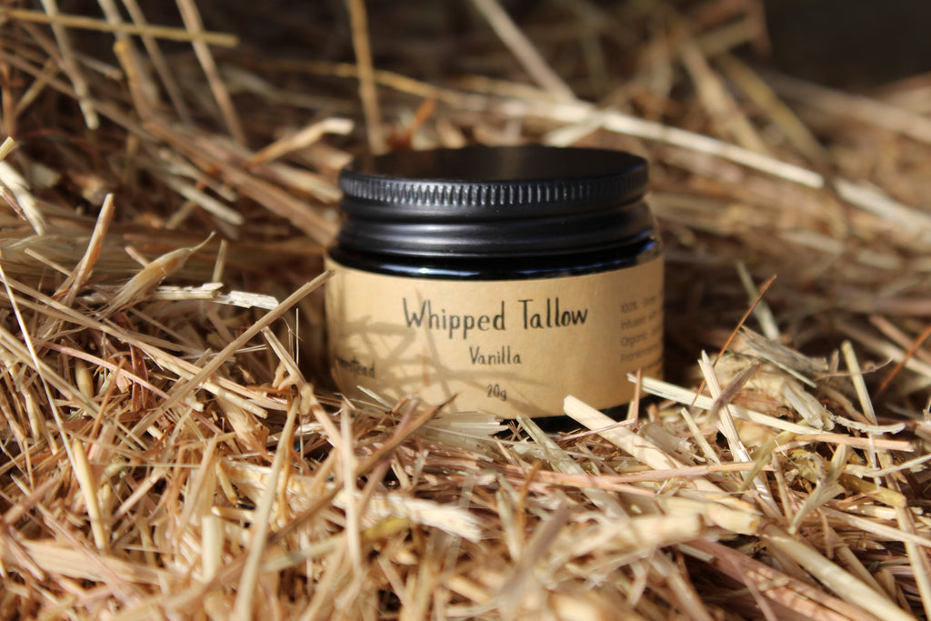 Whipped Tallow - Vanilla